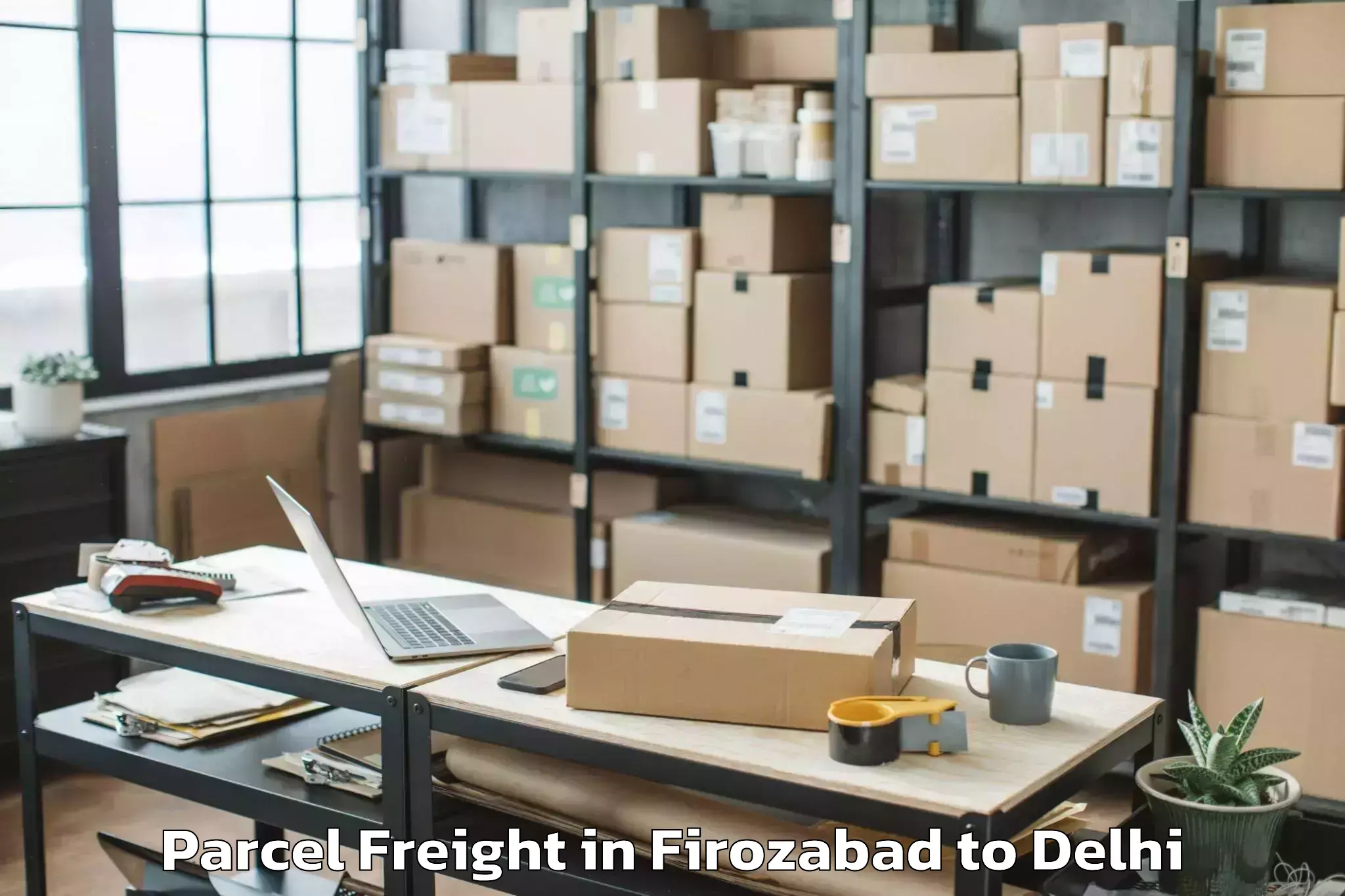 Top Firozabad to Unity One Mall Rohini Parcel Freight Available